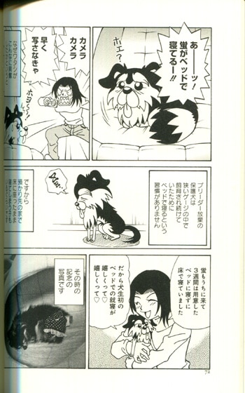 PG-5281]ほごけん 直筆イラストサイン本 柴田亜美