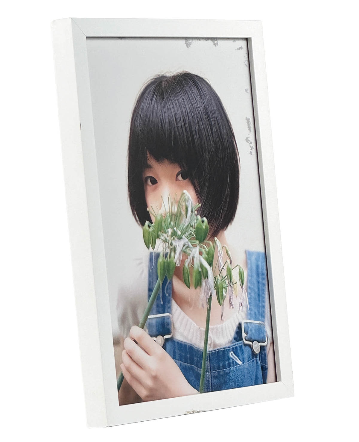 9020] GALLERY MOMO Ryogoku/「川島小鳥 直筆サイン入り
