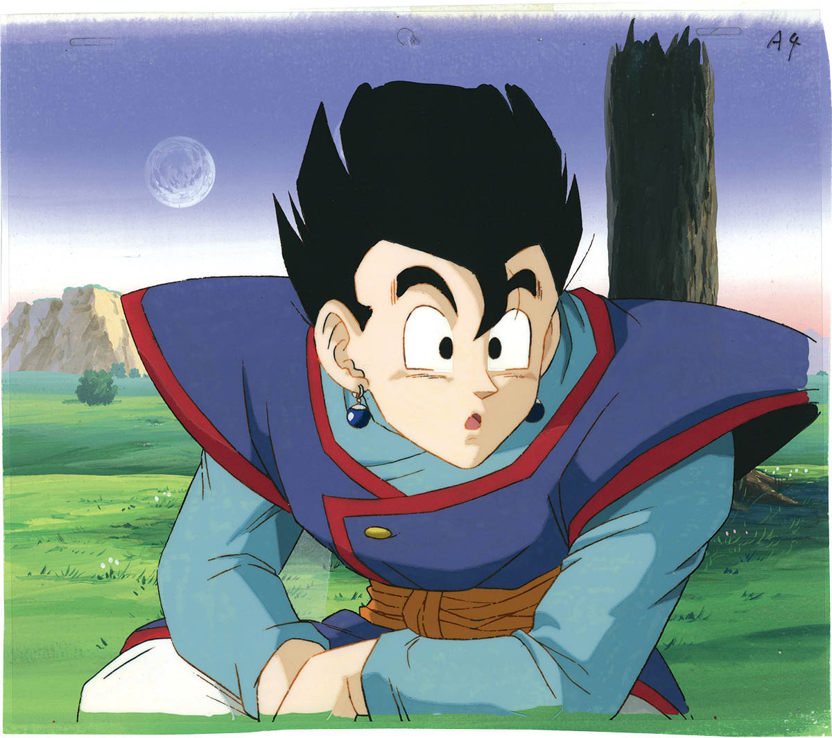 Dragon Ball Z — image 1 of 2