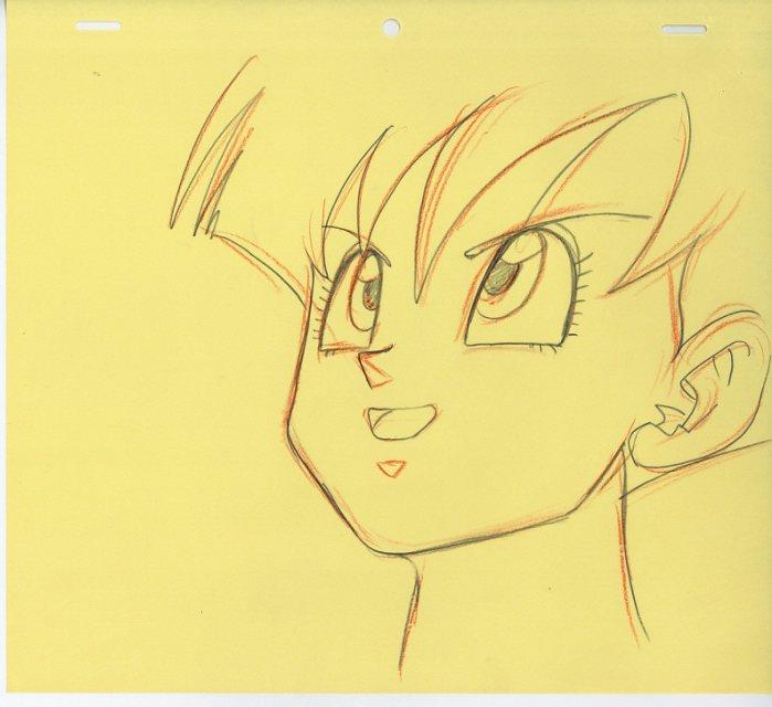 ドラゴンボールZ 原画 ビーデル ドラゴンボールZ 原画 ビーデル