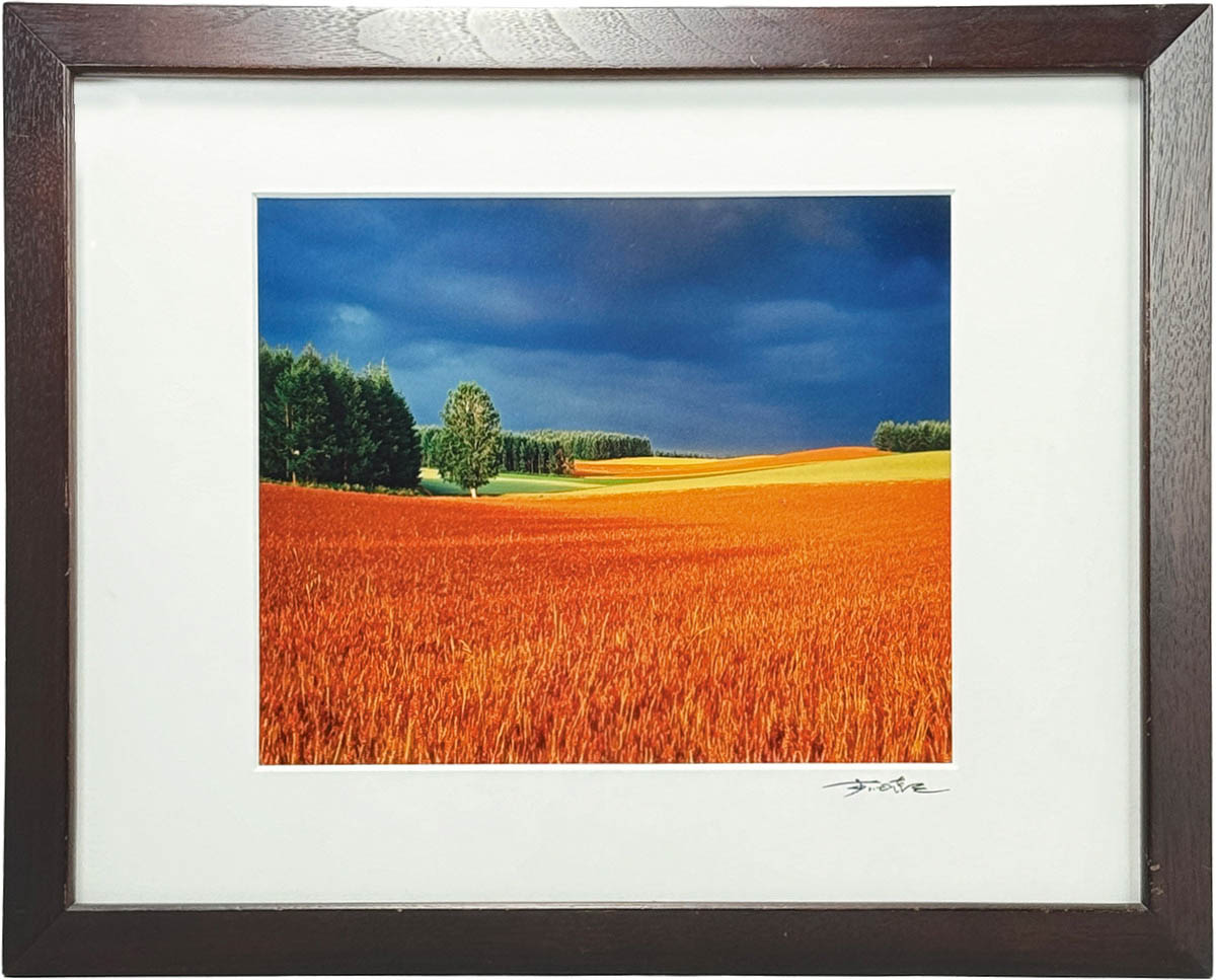 Item's picture