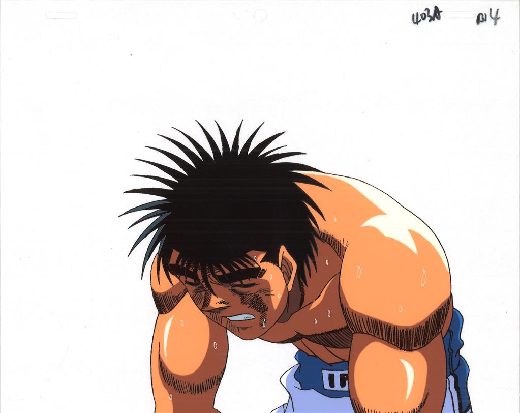 Hajime no Ippo 1 step set Makuuchi — image 1 of 2