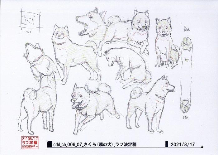 クールドジ男子 設定資料 クールドジ男子 設定[制作素材]