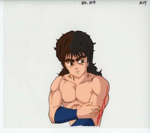 Fist of the North Star — image 1 of 1