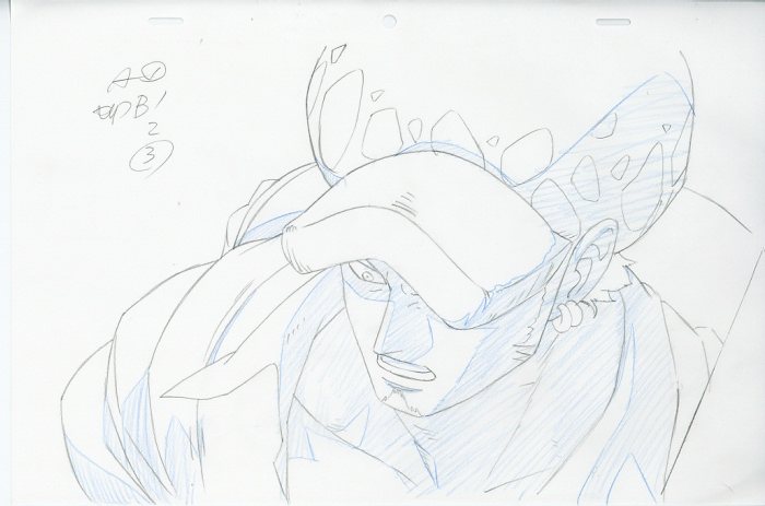 One Piece 原画 ロー