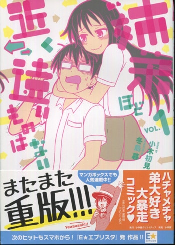 冬島暮 直筆イラストサイン本「姉弟ほど近く遠いものはない」1巻