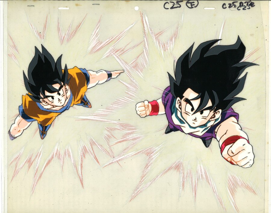 ドラゴンボールZ 孫悟空&孫悟飯