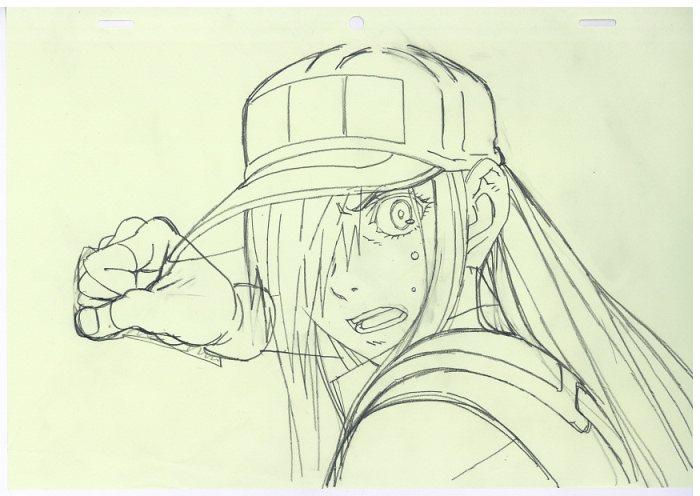 はたらく細胞BLACK ラフ原画