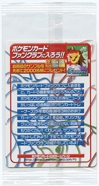 ピチュー兄弟［ポケモンカード］