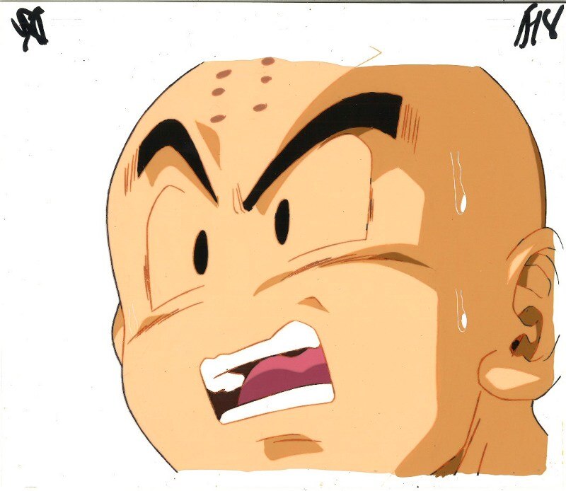 Dragon Ball Z — image 1 of 2