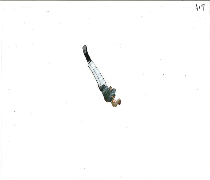 Item's picture