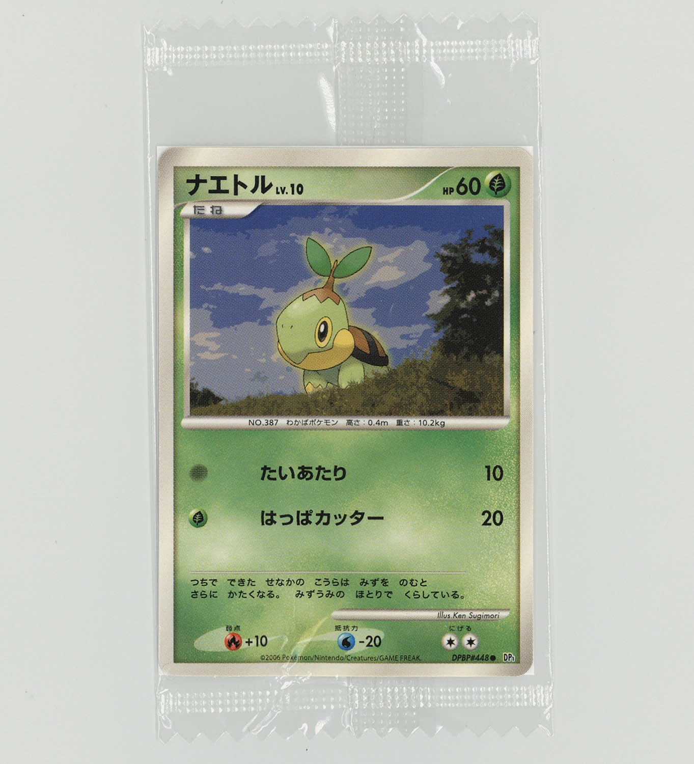 贅沢 5029] ナエトル(ミニサイズ) ポケモンカード(Dpシリーズ) ポケモンカードゲーム