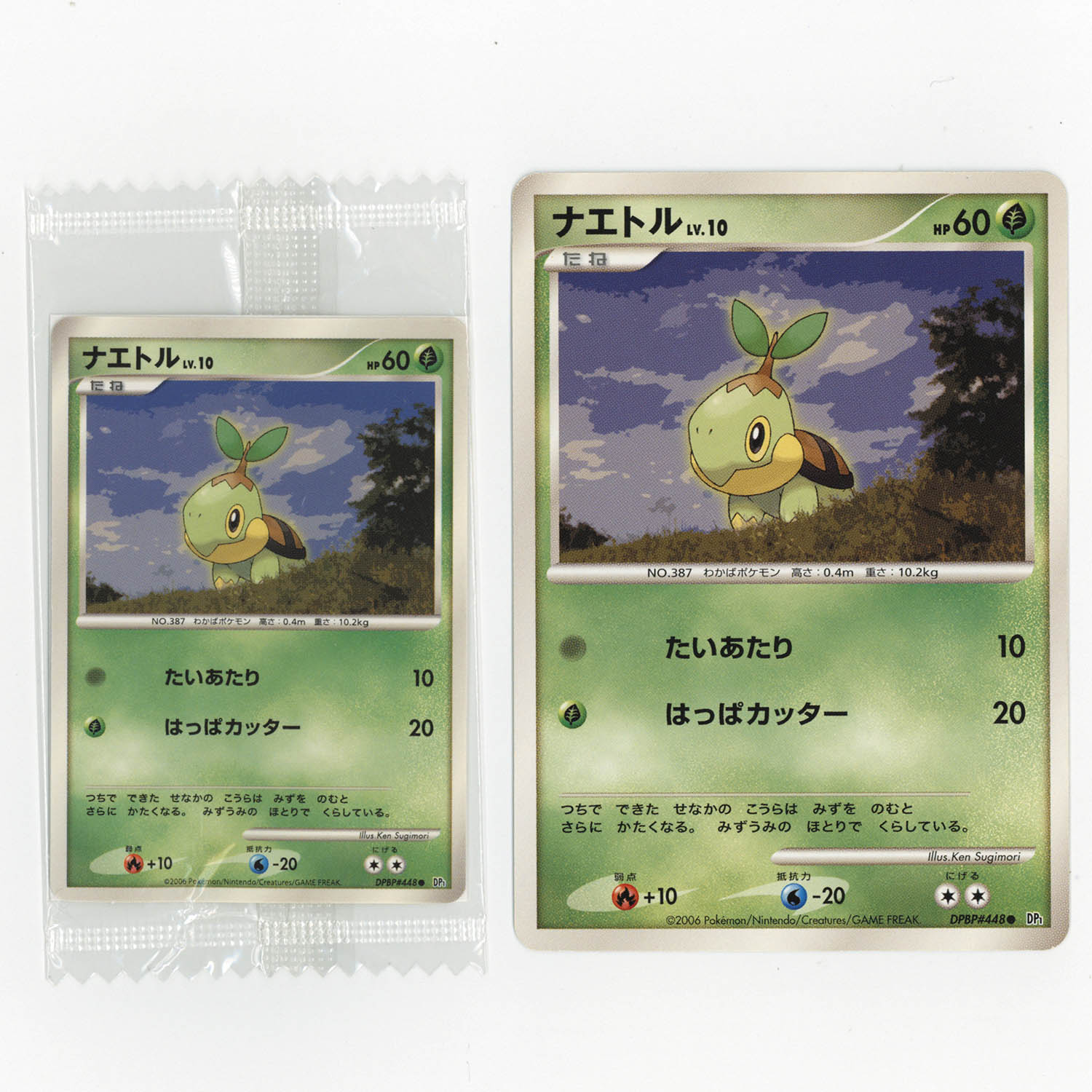 超希少☆ポケモンバトルカードe+ エメラルドポケモンブリーダー