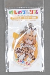 アクリルキーホルダー図鑑