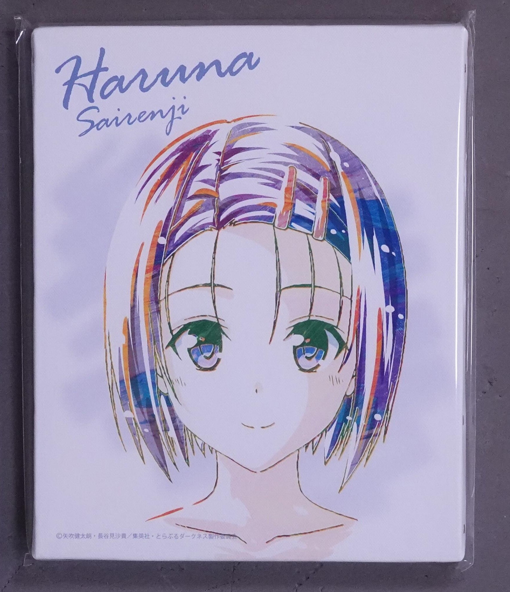 アルマビアンカ Ani Art キャンバスボード Vol 2 西連寺春菜 まんだらけ Mandarake