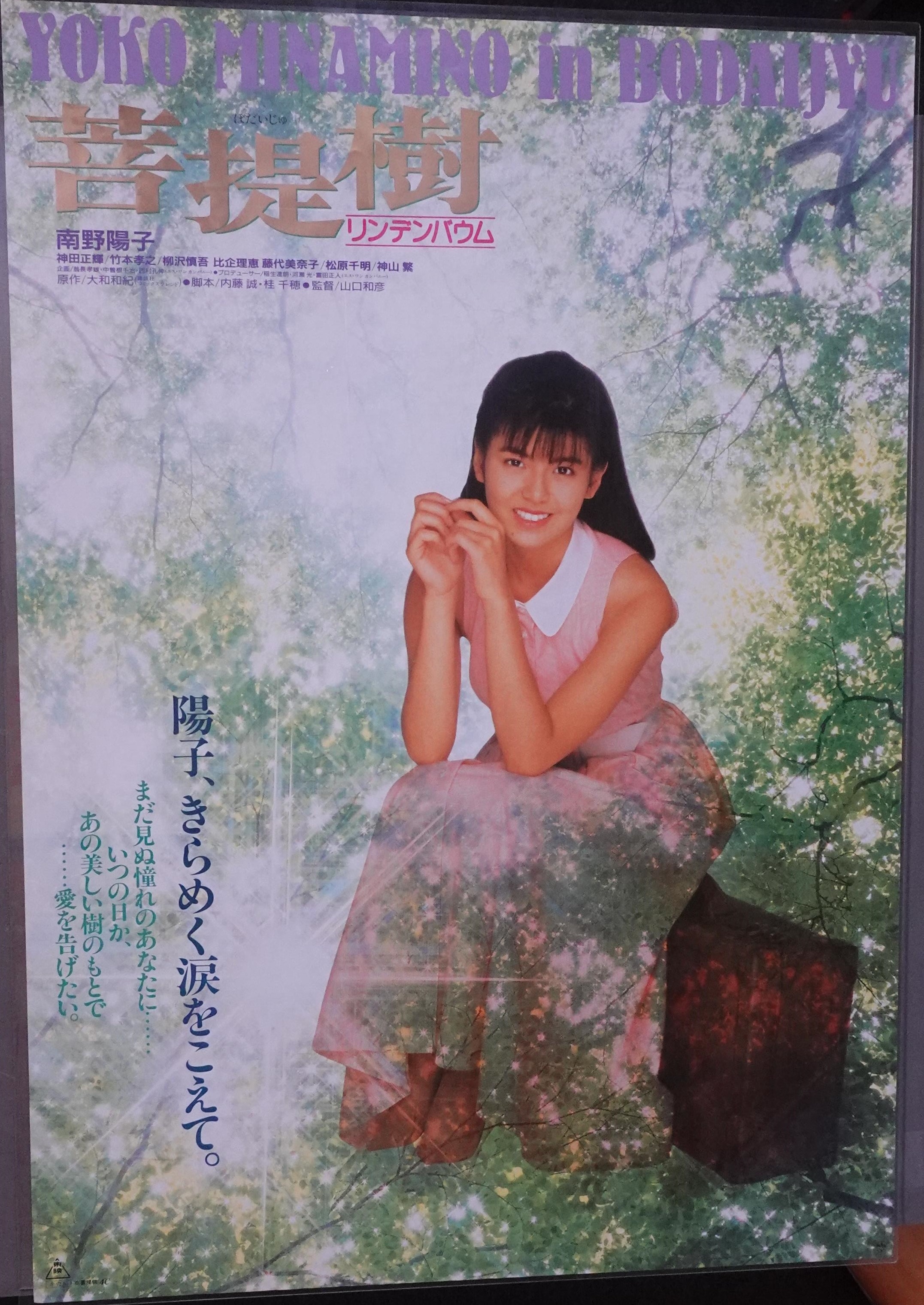 東映 菩提樹リンデンバウム A まんだらけ Mandarake 東映 菩提樹リンデンバウム A まんだらけ Mandarake