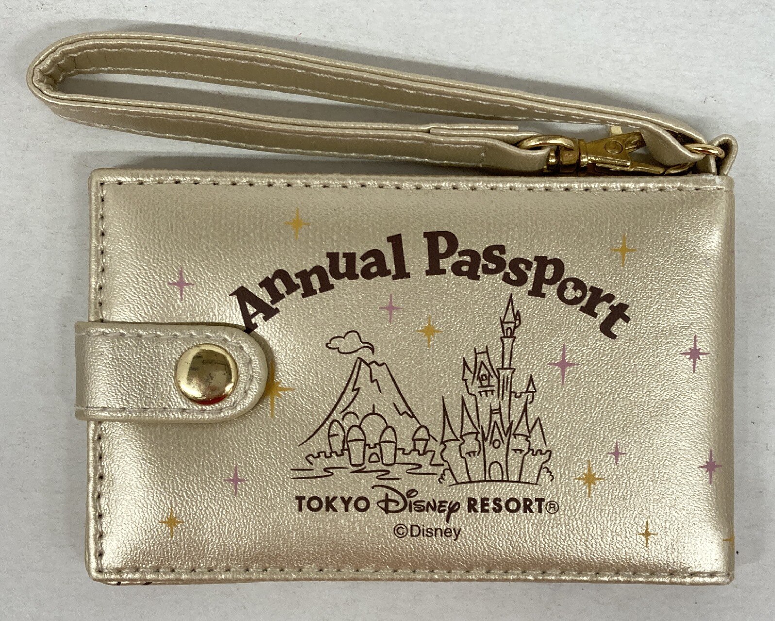 東京ディズニーリゾート パスケース ミッキー ミニー 30th年間パスポート購入特典 30周年 まんだらけ Mandarake