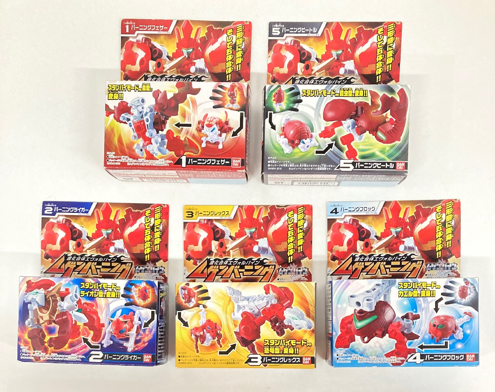 バーニングセル 3個セット-