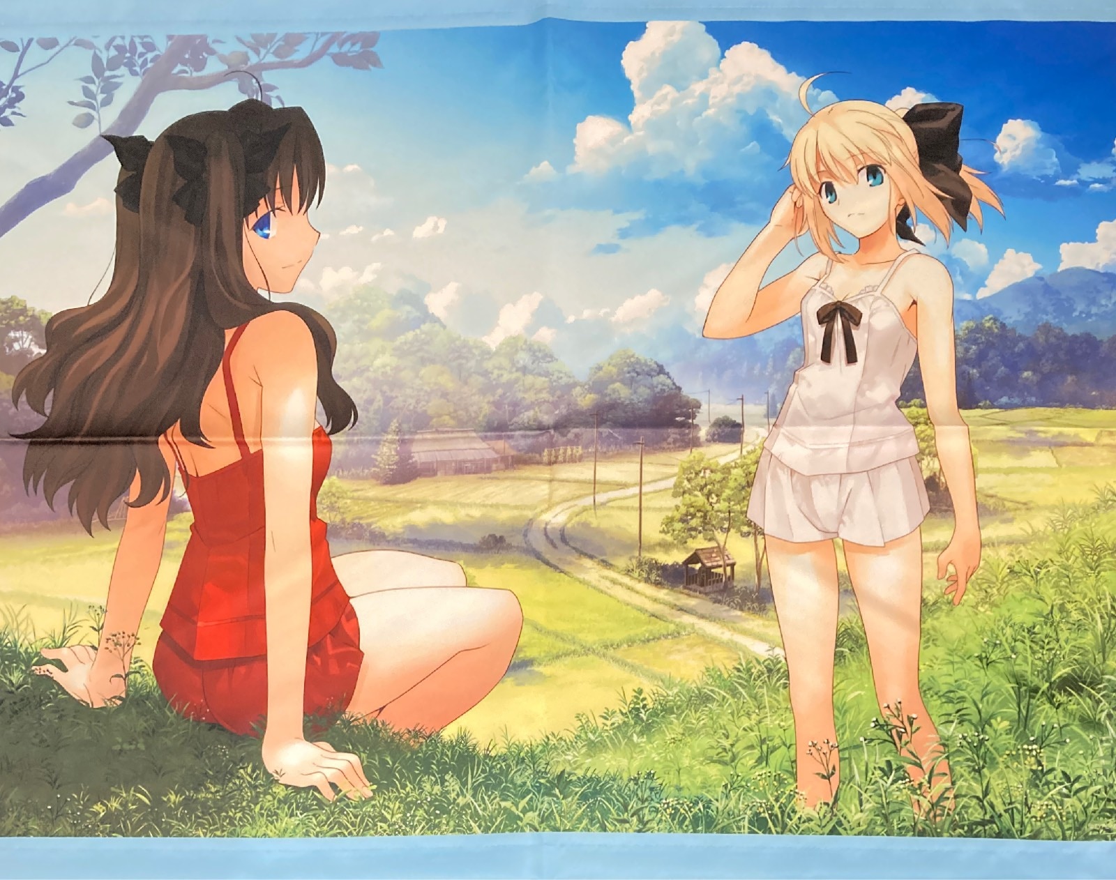 武内崇 Return to AVALON -武内崇Fate ART WORKS 有償特典タペストリー とらのあな | まんだらけ Mandarake