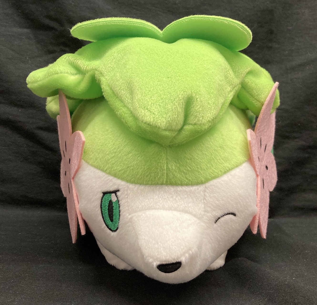 BANDAI SPIRITS ポケモンフォーカス 〈すがたが変わるポケモン