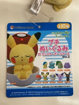 新品・ゲームセンター非売品限定・ポケモン「DX・2体なかよし