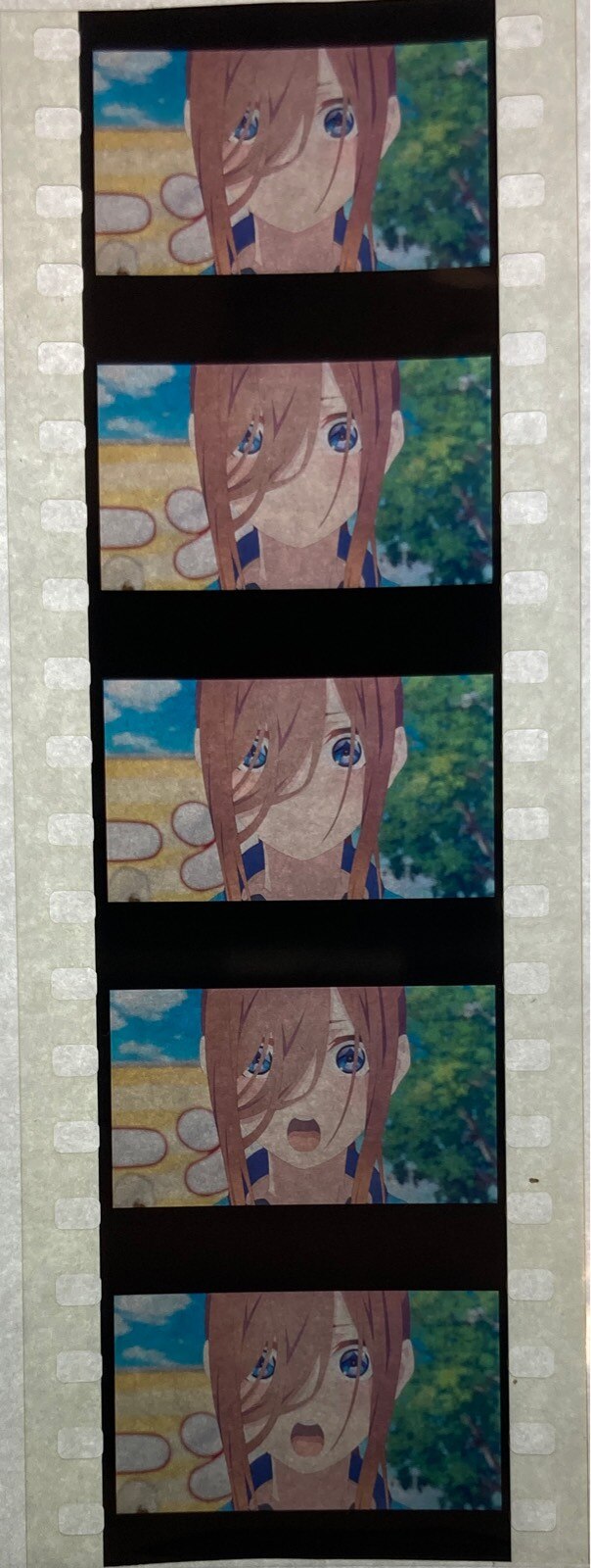 映画五等分の花嫁 来場者特典フィルム(中野三玖/文化祭) | あり