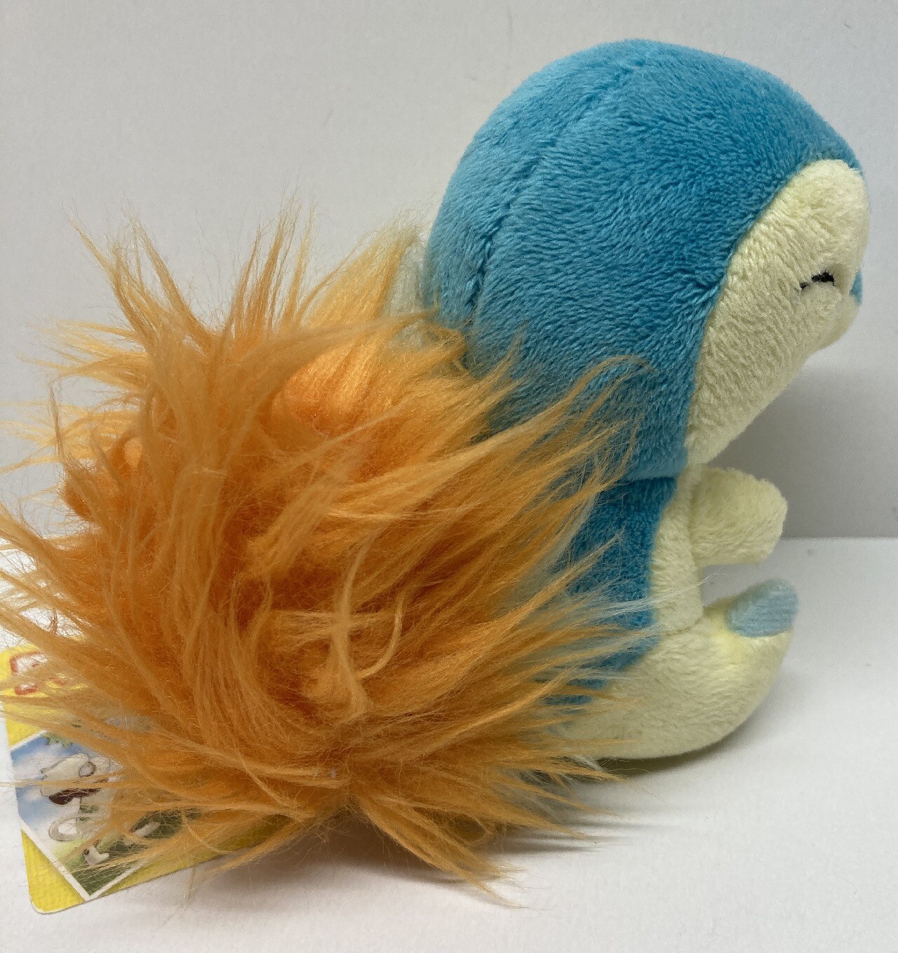 Pokemon canvas plush online
