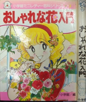 まんだらけ通販 | 札幌店 - ミニレディ 百科
