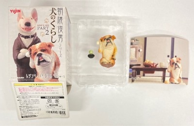 朝隈俊男シリーズ