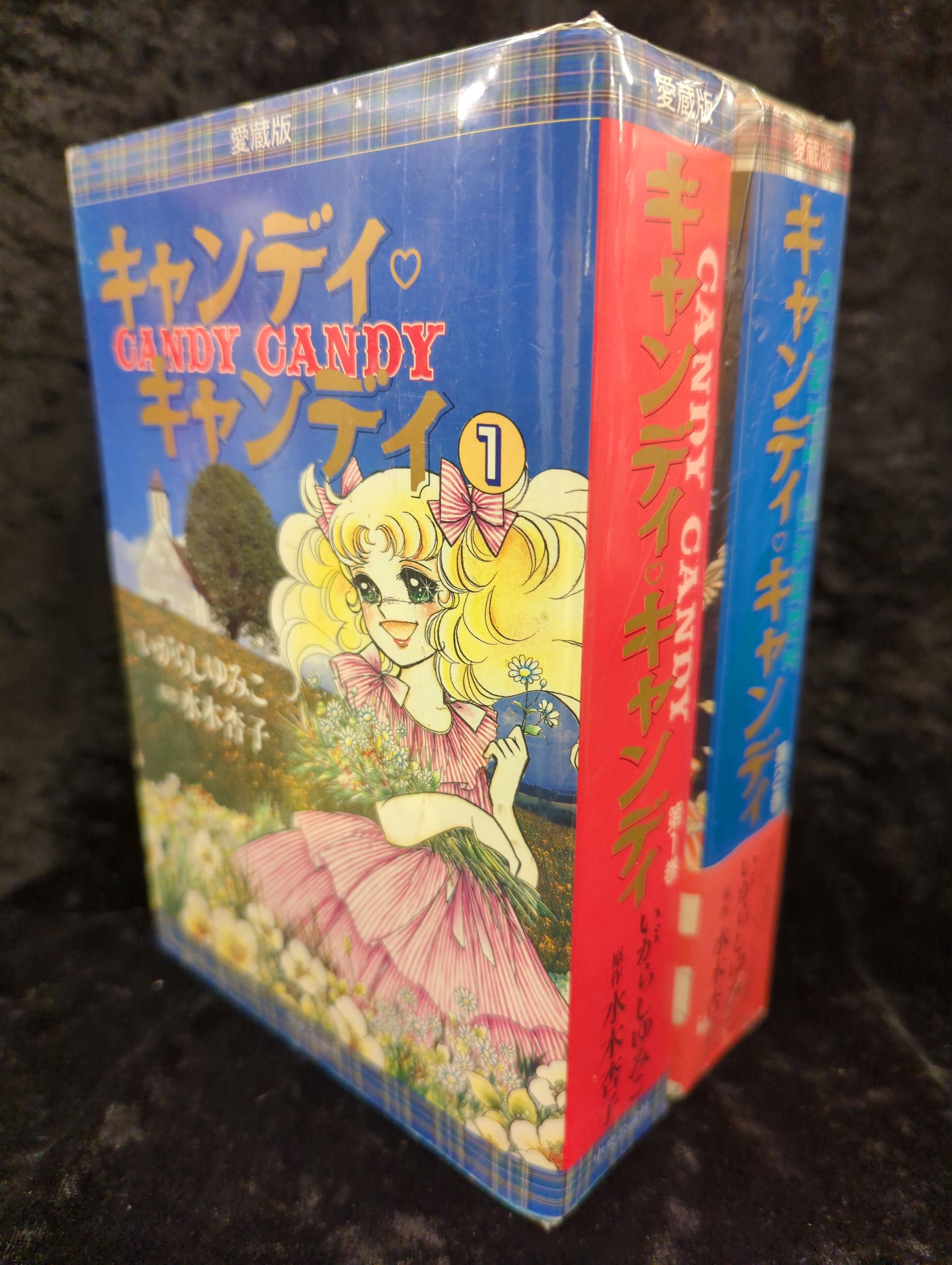愛蔵版 キャンディ キャンディ 1巻 2巻 セット