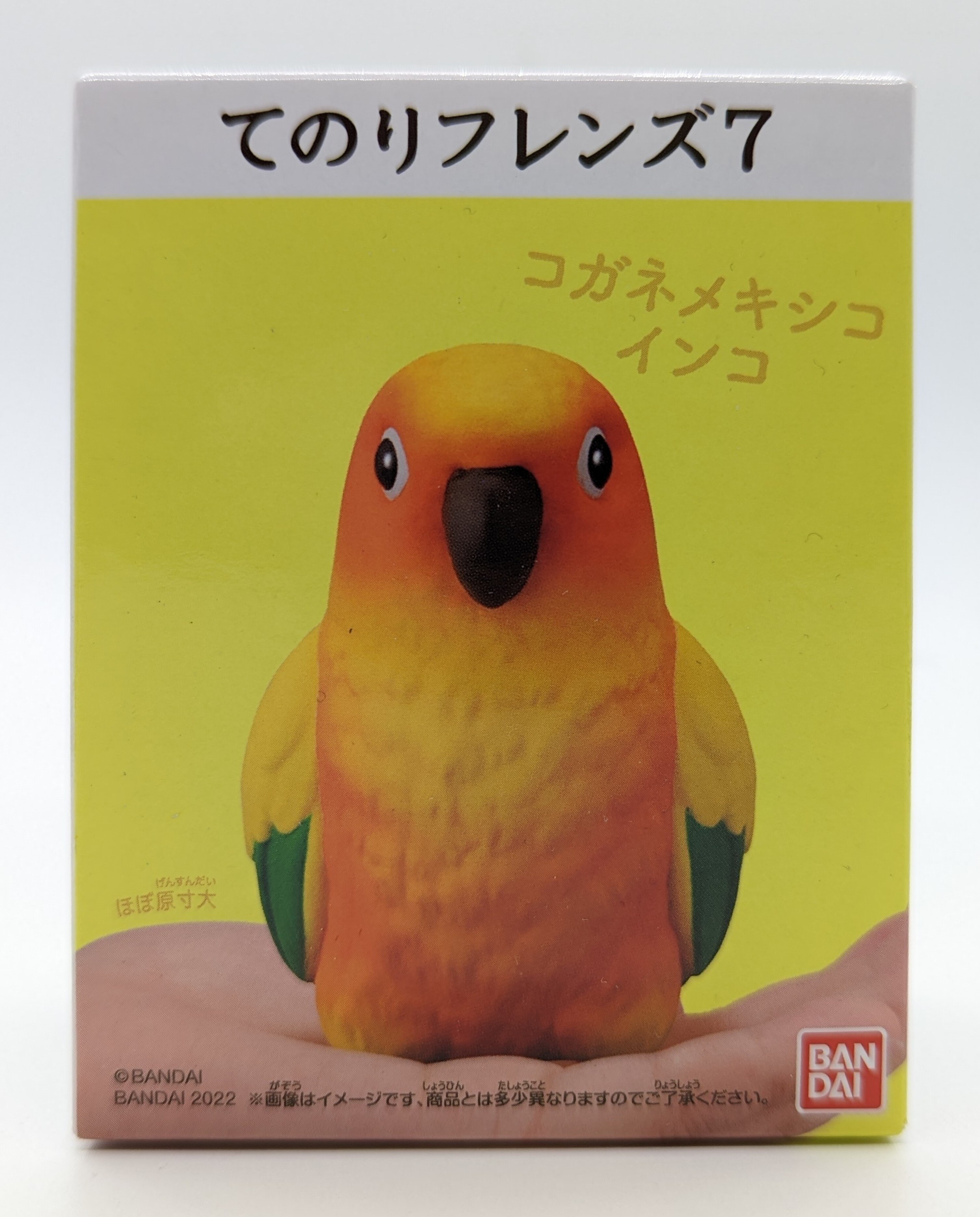 Conure plush deals