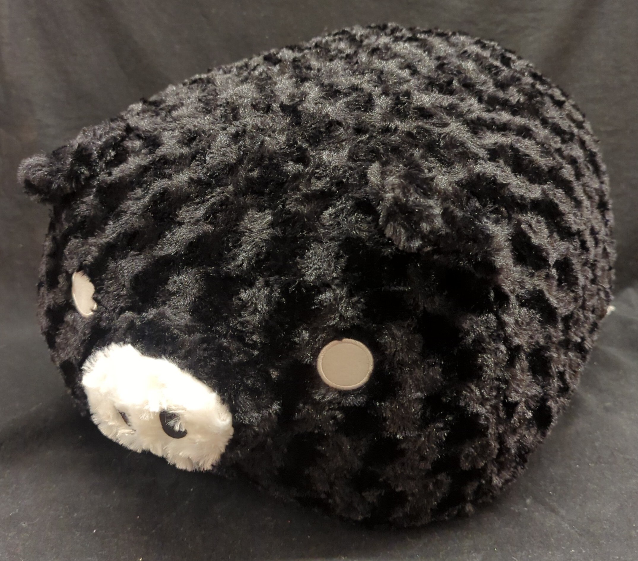 Black pig stuffed animal new arrivals