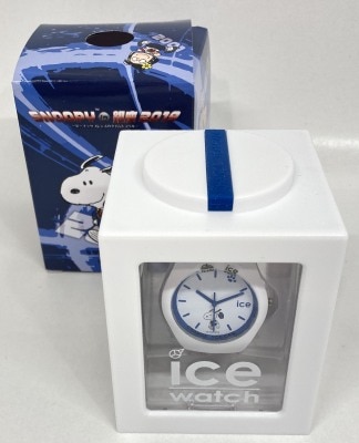 ICE WATCH