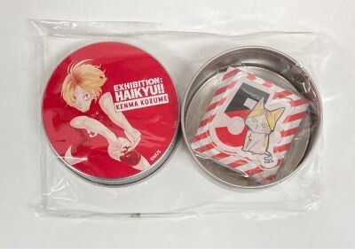 acrylic brooch in tin