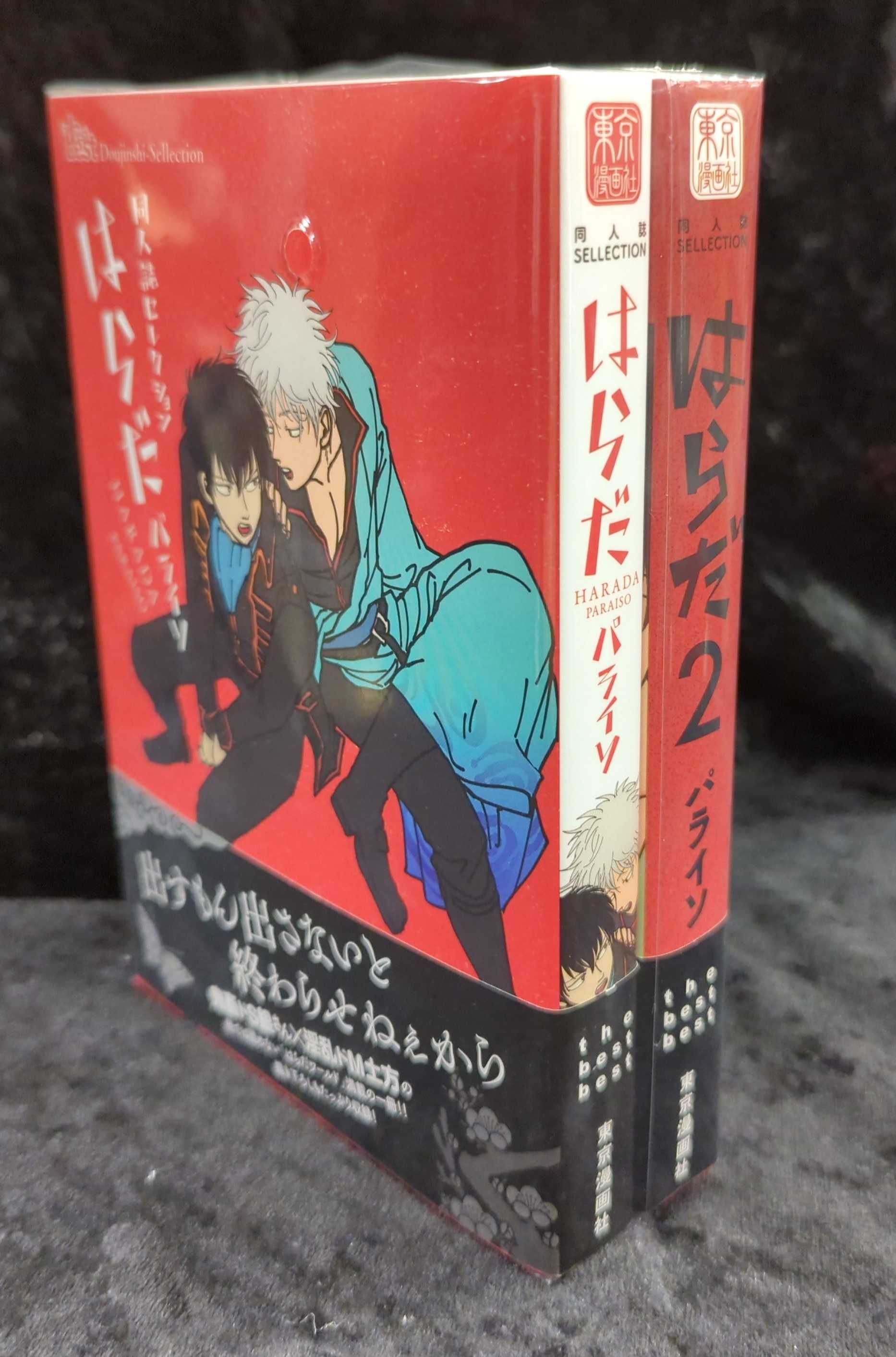 パライソ 銀土 はらだ 同人誌