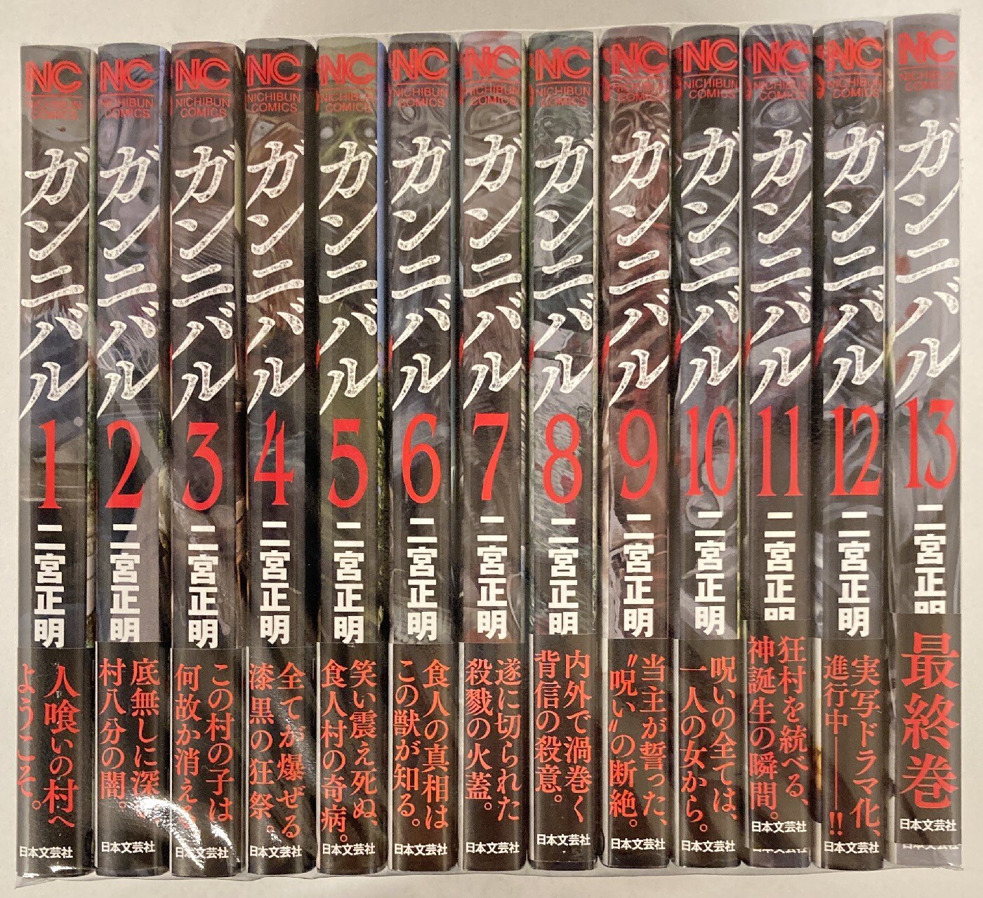 日本文芸社 ニチブンコミックス 二宮正明 ガンニバル 全13巻 セット