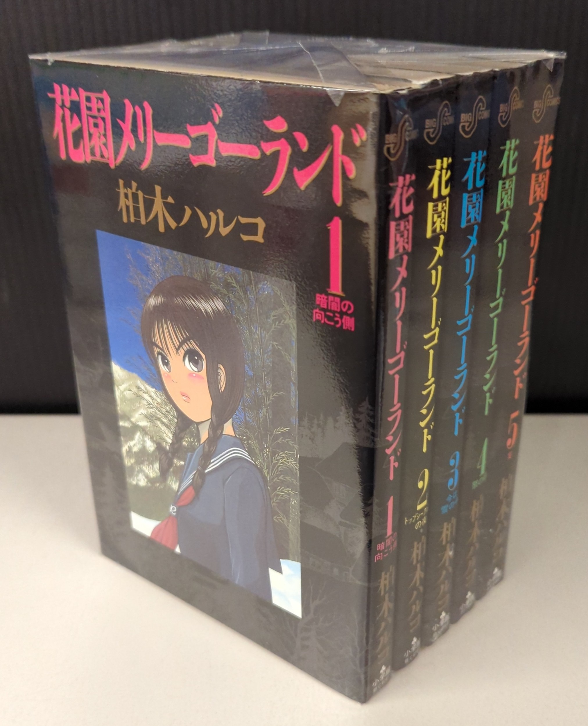 花園メリーゴーランド 全５巻 柏木ハルコ 小学館 - 青年漫画