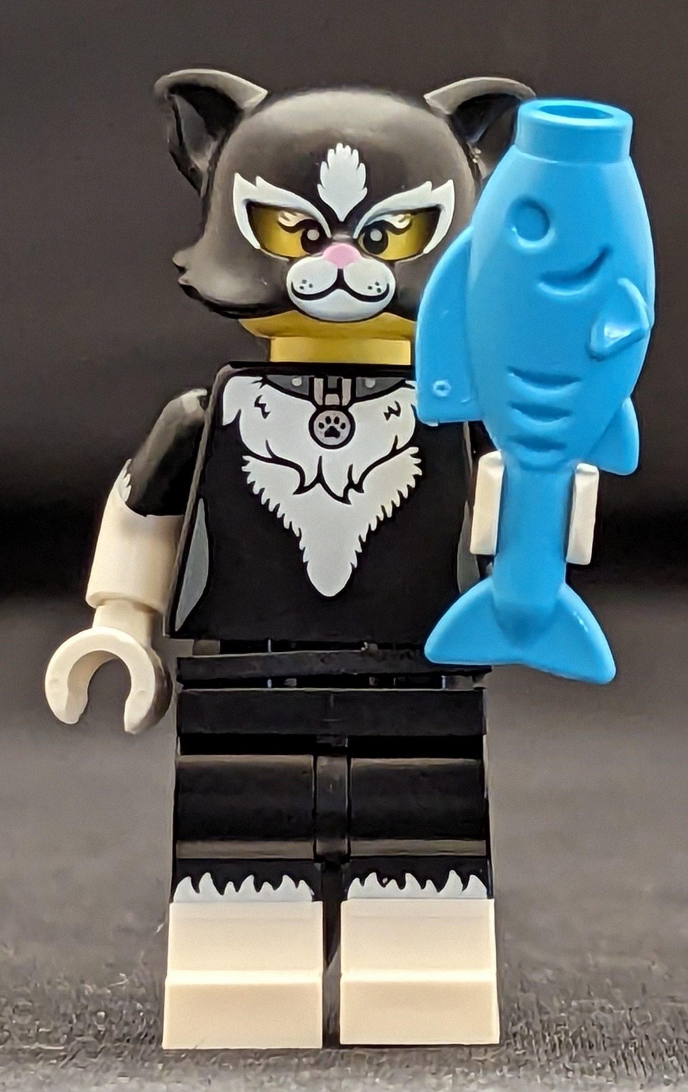 Cat girl hotsell lego
