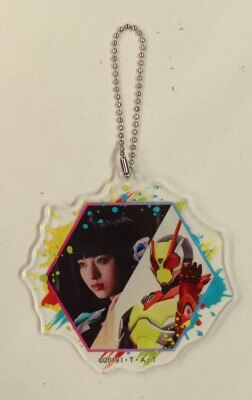 Acrylic Charm collection