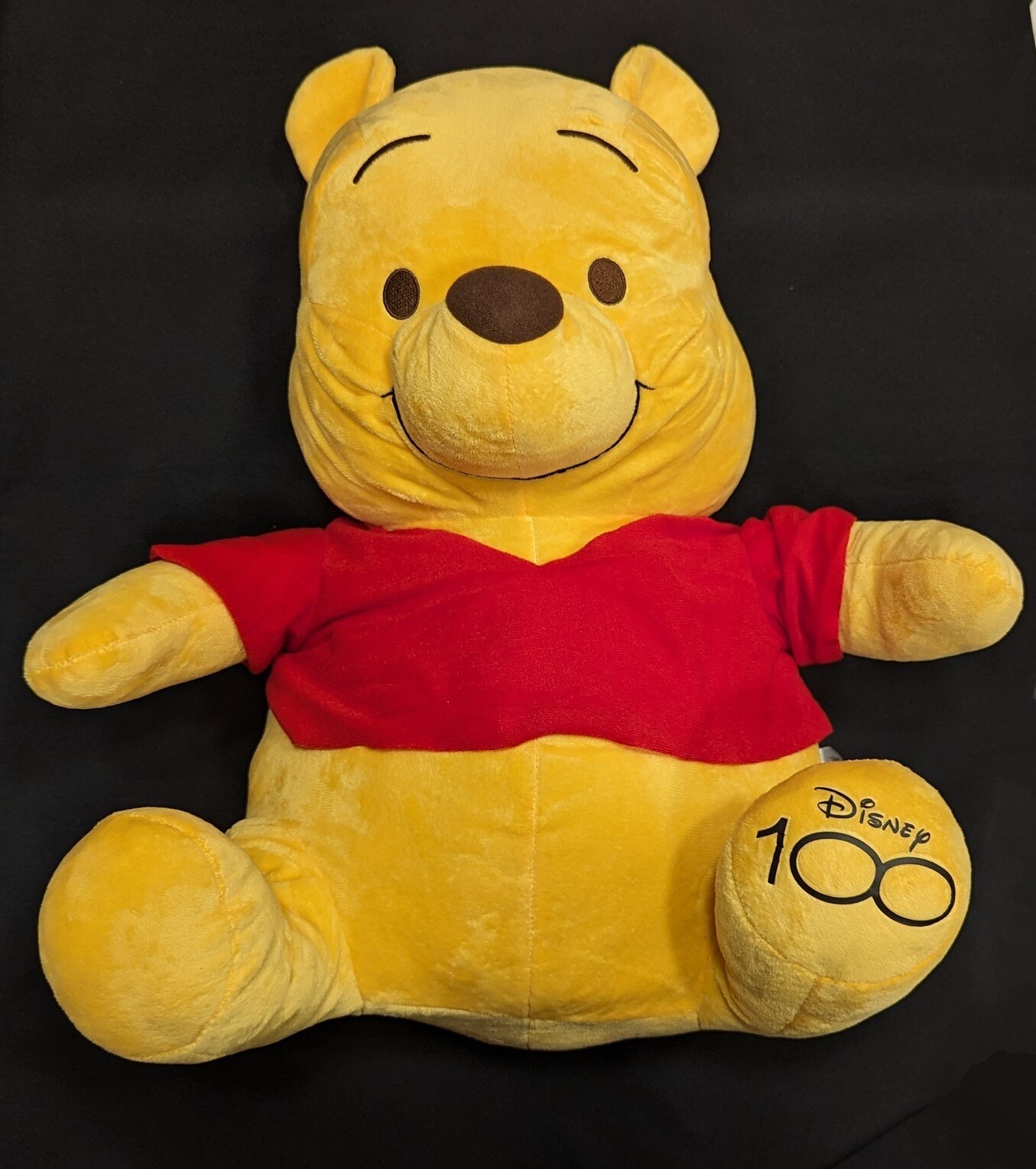 Disney winnie the pooh soft sales toy