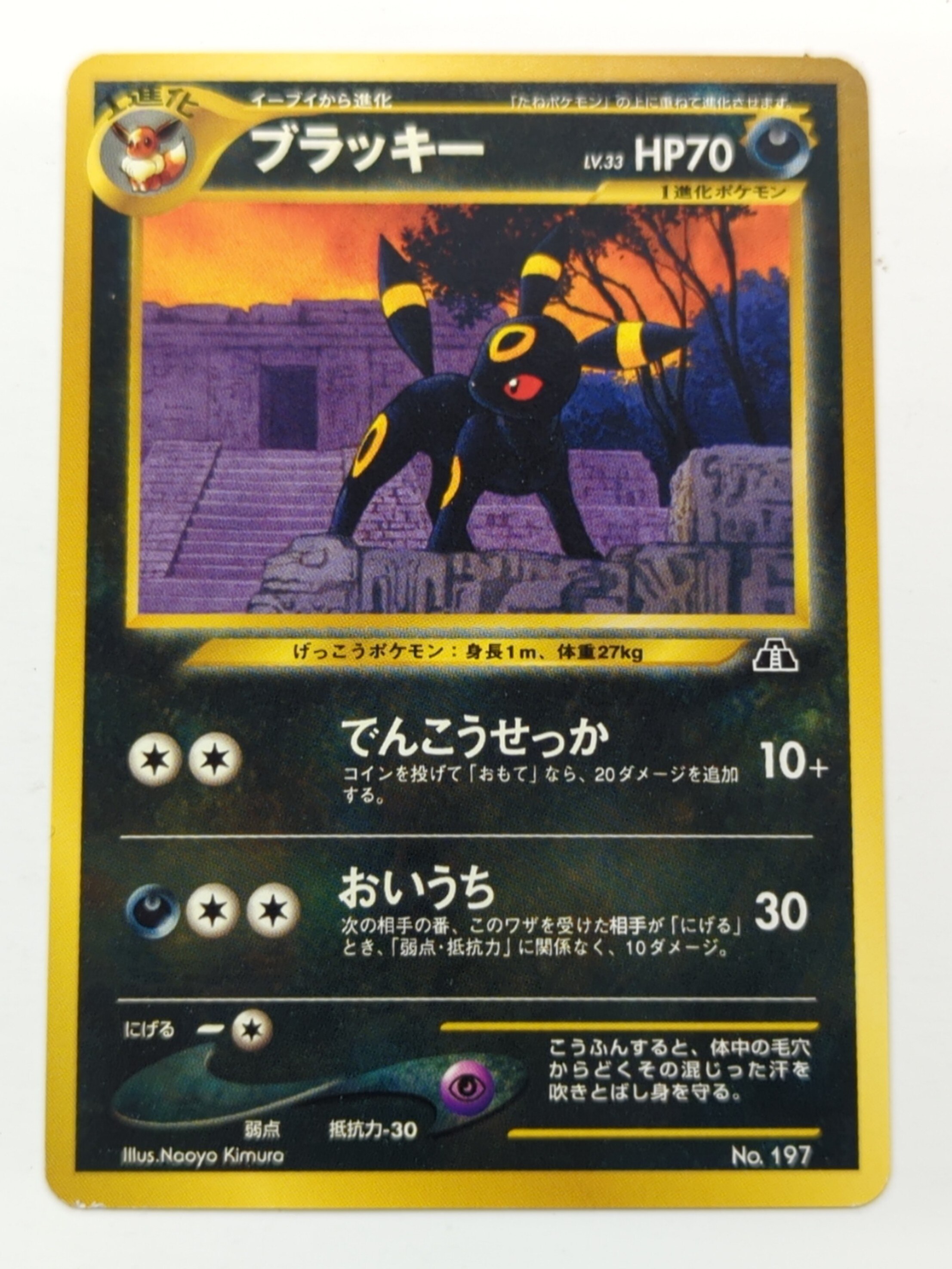 【PSA10】ブラッキー ポケモン 旧裏  NEO 遺跡　プレミアムファイル