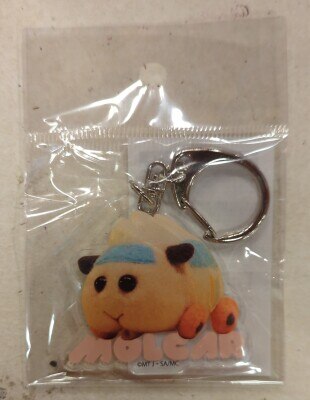 Acrylic Key Holder