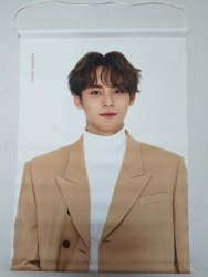 SEVENTEEN 2020WINTER TO CARAT MINGYU タペストリー