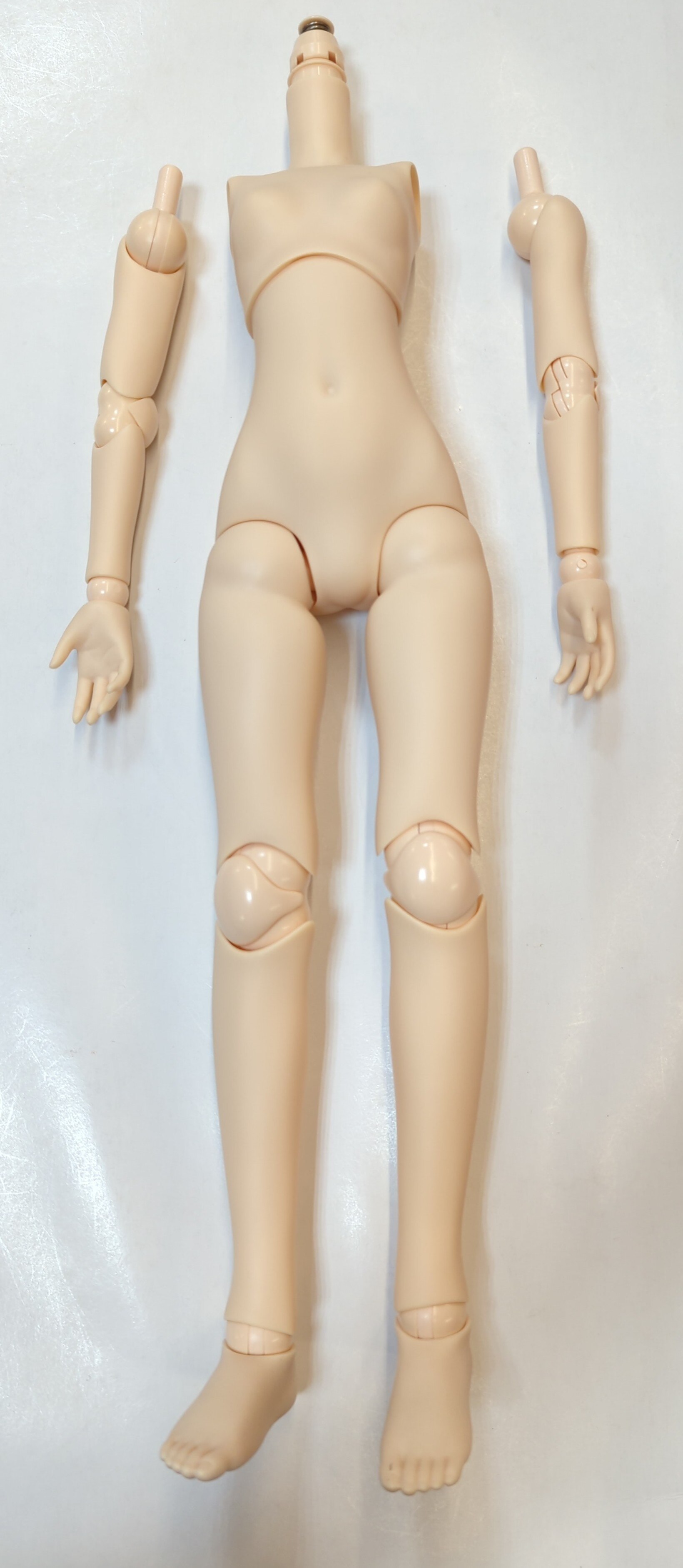 Obitsu Plastic Obitsu Body 48cm female body Mandarake Online Shop