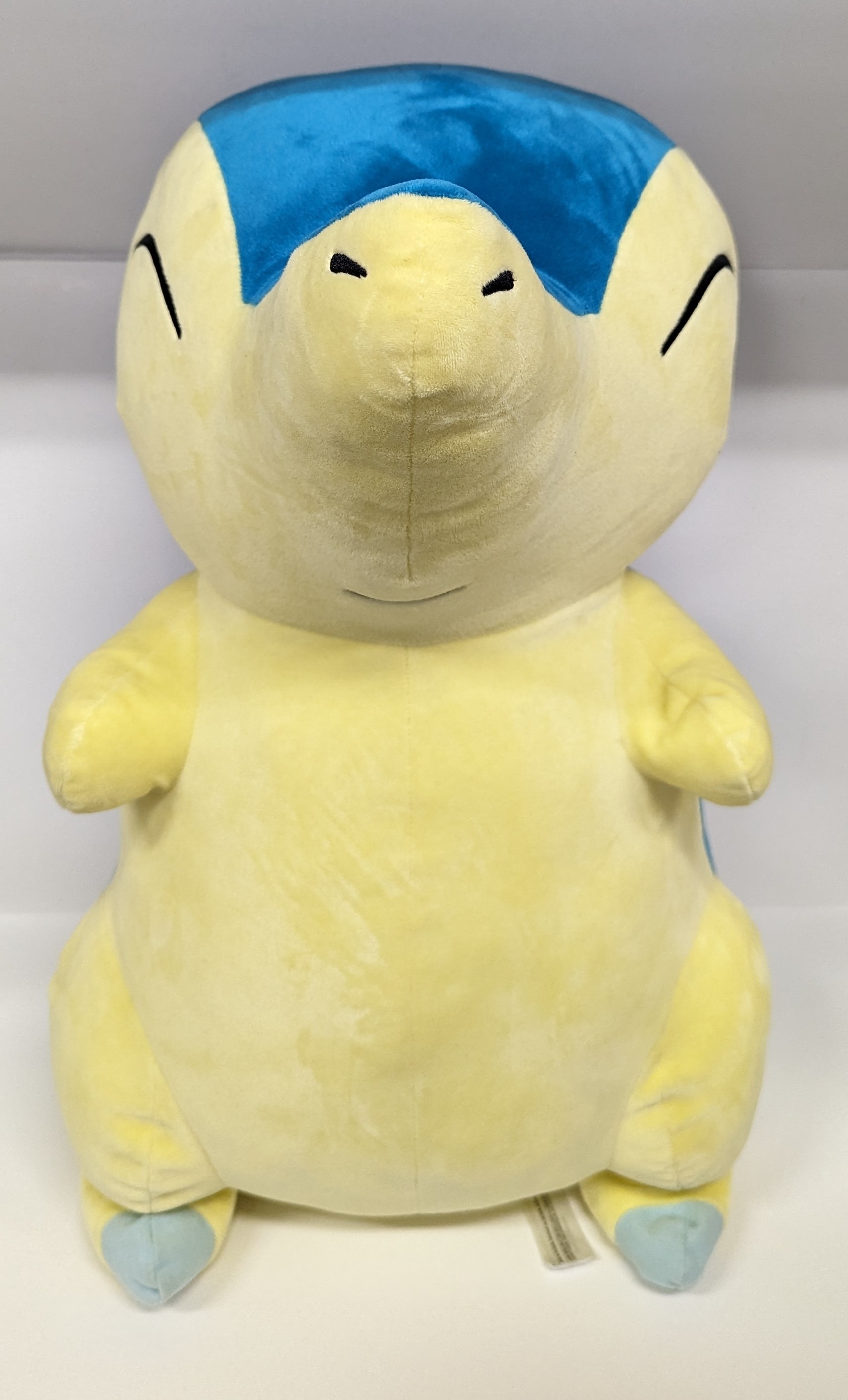 ポケモン ぬいぐるみ POKEMON 等身大ヒノアラシ | ありある | まんだらけ MANDARAKE