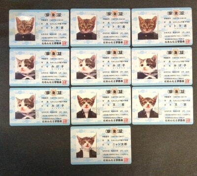 まんだらけ通販 | なめ猫 まんだらけ通販 | なめ猫