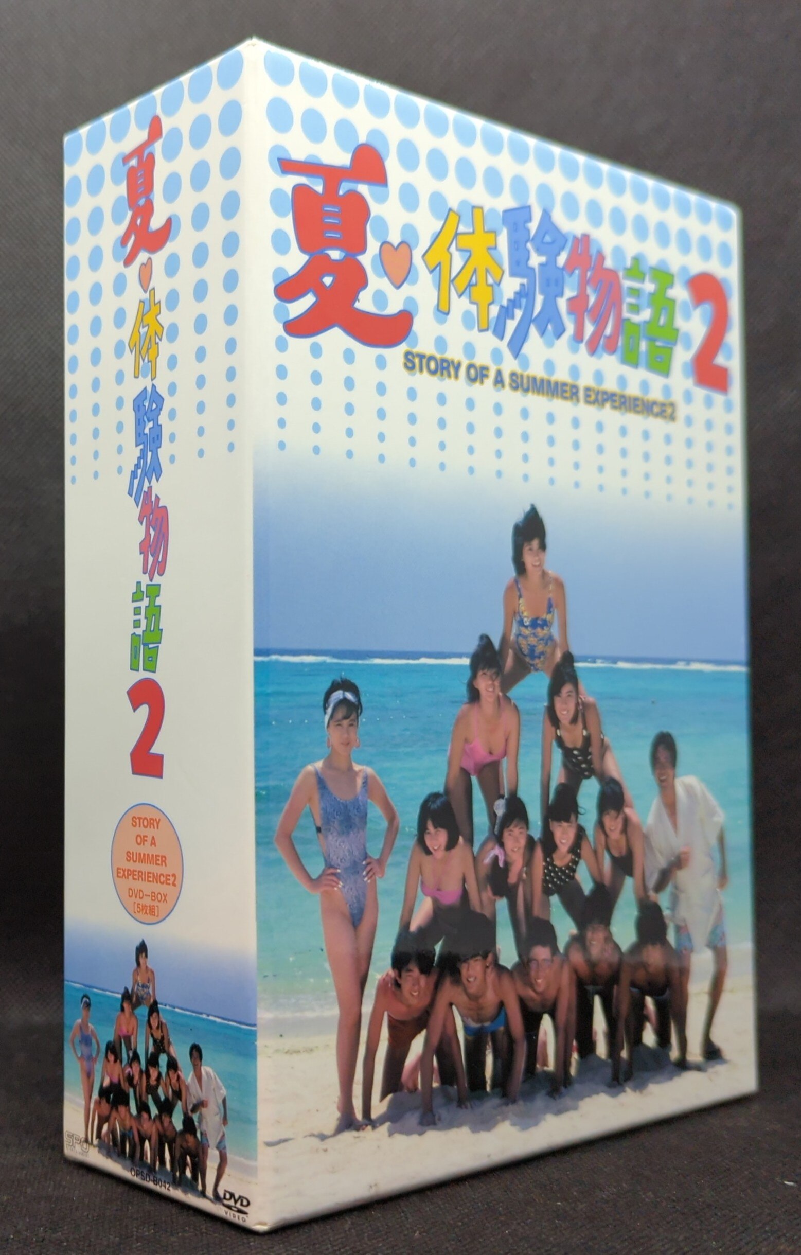 For 激しかっ you DVD-BOX 6枚組 中山美穂