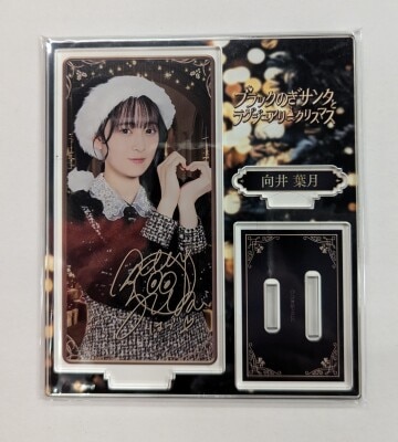 乃木坂46 執念深く 齋藤飛鳥　のぎbox 純白のぎサンタとホワイトクリスマス