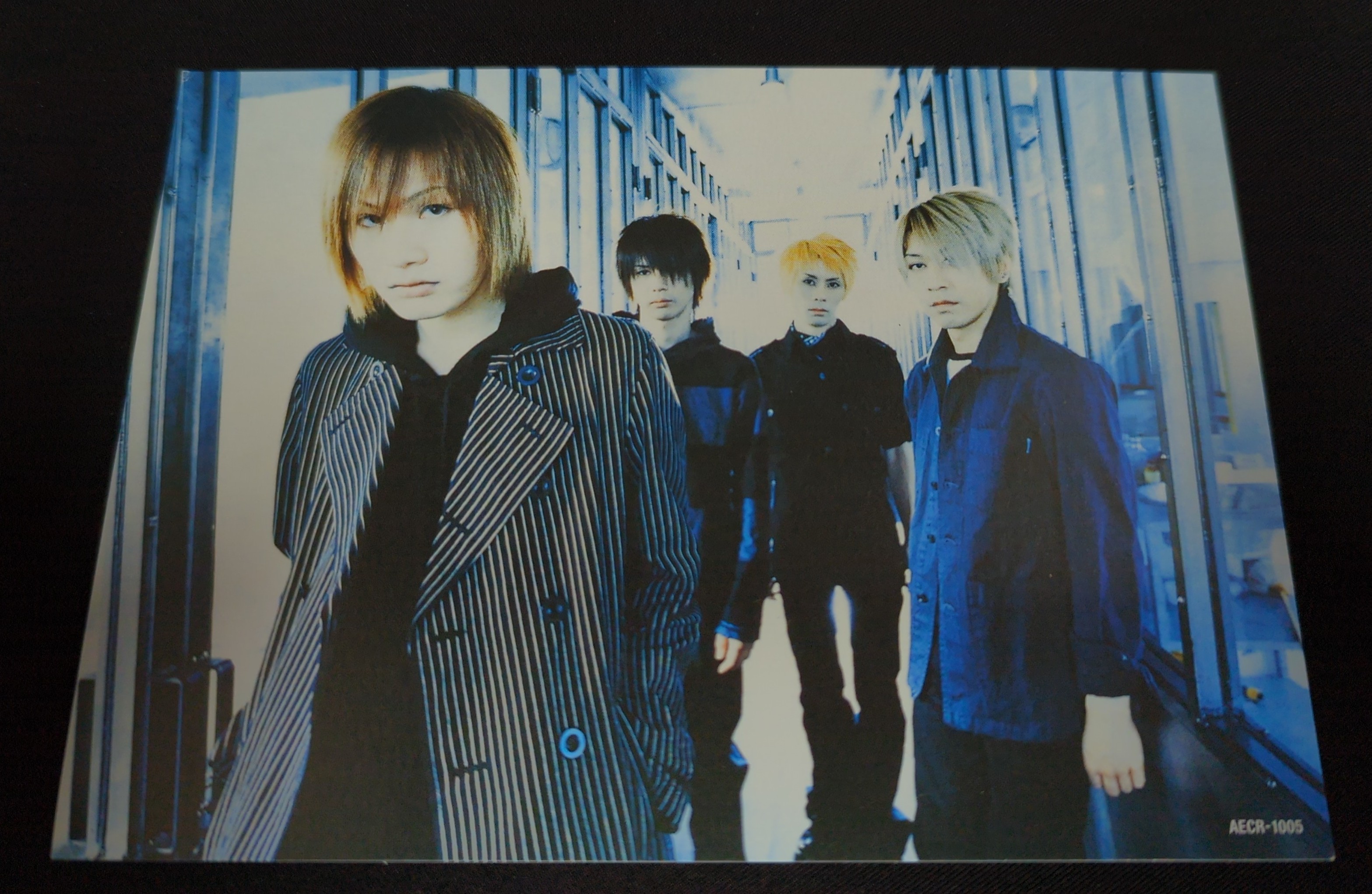 Plastic Tree 2002 トロイメライ ポストカード | ありある