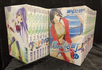 君のいる町 1-27巻（26.27限定版）＋恋なび＋妄想200